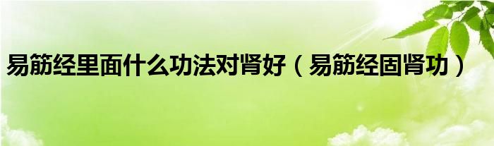 易筋经里面什么功法对肾好（易筋经固肾功）