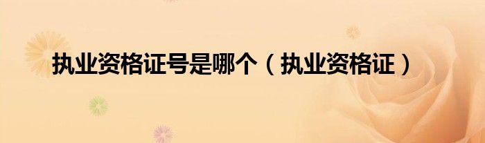 执业资格证号是哪个（执业资格证）