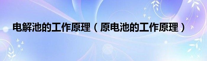 电解池的工作原理（原电池的工作原理）