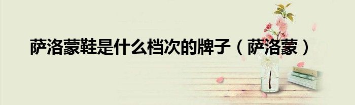 萨洛蒙鞋是什么档次的牌子（萨洛蒙）