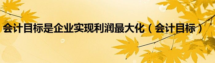 会计目标是企业实现利润最大化（会计目标）