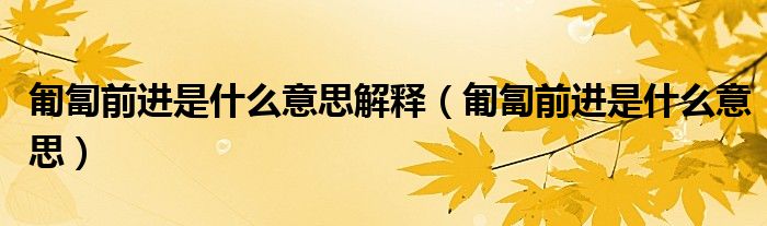 匍匐前进是什么意思解释（匍匐前进是什么意思）
