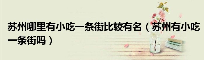 苏州哪里有小吃一条街比较有名（苏州有小吃一条街吗）