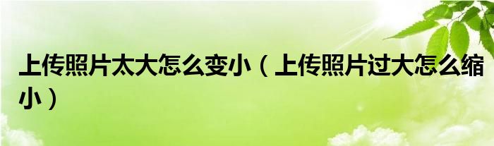 上传照片太大怎么变小（上传照片过大怎么缩小）
