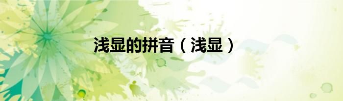 浅显的拼音（浅显）