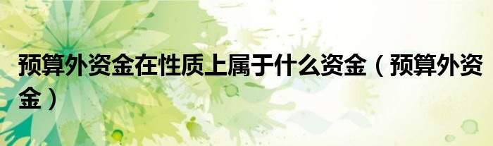 预算外资金在性质上属于什么资金（预算外资金）