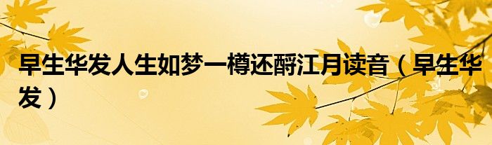 早生华发人生如梦一樽还酹江月读音（早生华发）