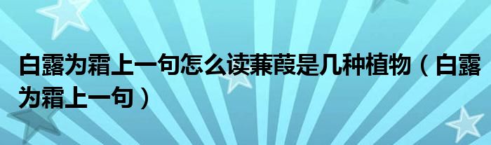 白露为霜上一句怎么读蒹葭是几种植物（白露为霜上一句）