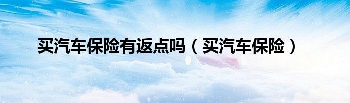 买汽车保险有返点吗（买汽车保险）