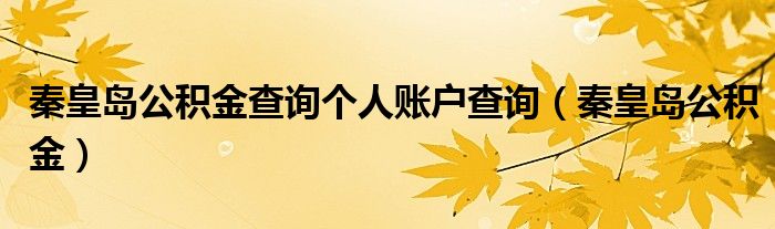 秦皇岛公积金查询个人账户查询（秦皇岛公积金）