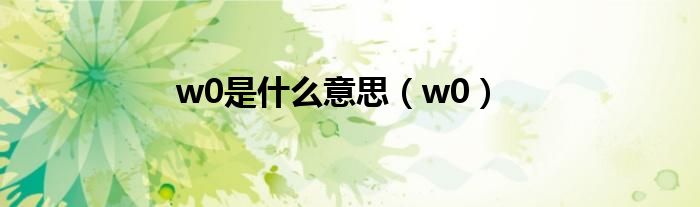 w0是什么意思（w0）