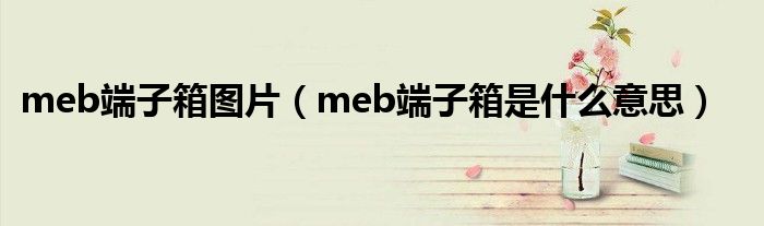 meb端子箱图片（meb端子箱是什么意思）