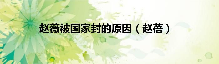 赵薇被国家封的原因（赵蓓）