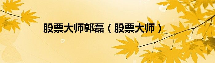 股票大师郭磊（股票大师）