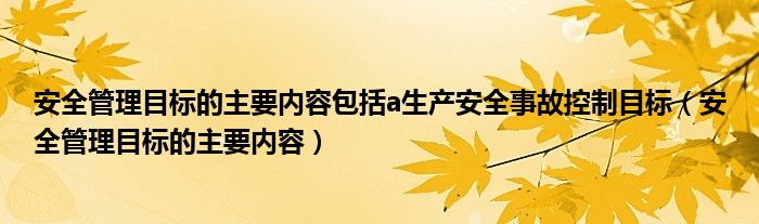 安全管理目标的主要内容包括a生产安全事故控制目标（安全管理目标的主要内容）