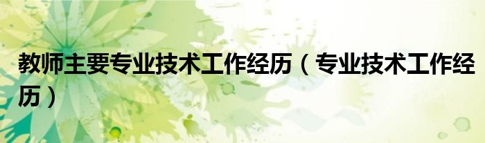 教师主要专业技术工作经历（专业技术工作经历）