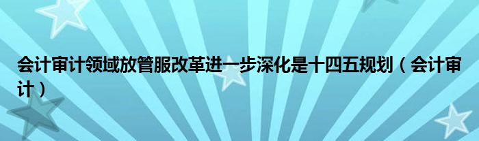 会计审计领域放管服改革进一步深化是十四五规划（会计审计）