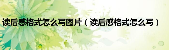 读后感格式怎么写图片（读后感格式怎么写）