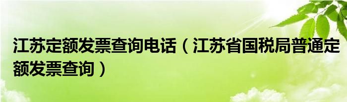 江苏定额发票查询电话（江苏省国税局普通定额发票查询）