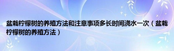盆栽柠檬树的养殖方法和注意事项多长时间浇水一次（盆栽柠檬树的养殖方法）