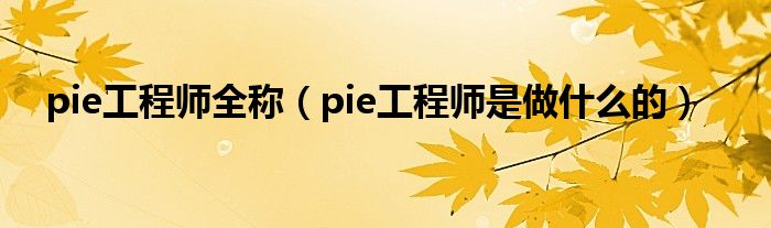 pie工程师全称（pie工程师是做什么的）