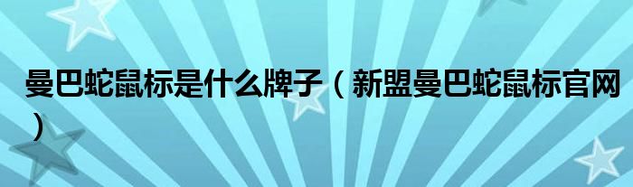 曼巴蛇鼠标是什么牌子（新盟曼巴蛇鼠标官网）
