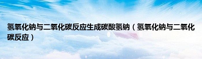 氢氧化钠与二氧化碳反应生成碳酸氢钠（氢氧化钠与二氧化碳反应）