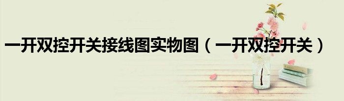 一开双控开关接线图实物图（一开双控开关）