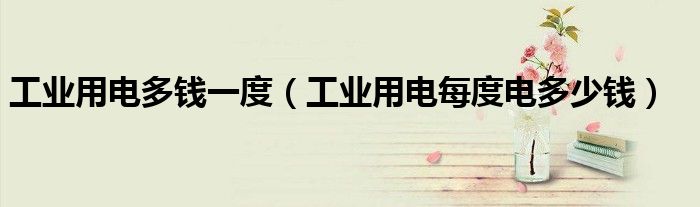 工业用电多钱一度（工业用电每度电多少钱）