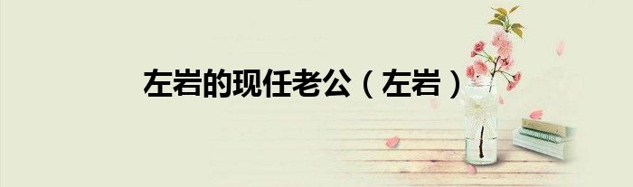 左岩的现任老公（左岩）