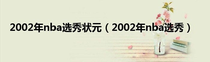 2002年nba选秀状元（2002年nba选秀）