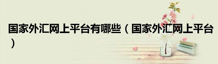 国家外汇网上平台有哪些（国家外汇网上平台）