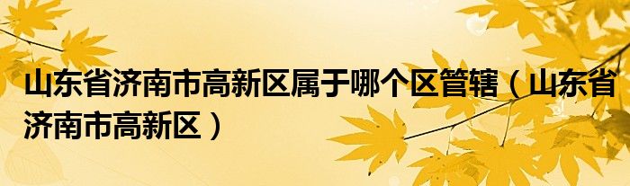 山东省济南市高新区属于哪个区管辖（山东省济南市高新区）