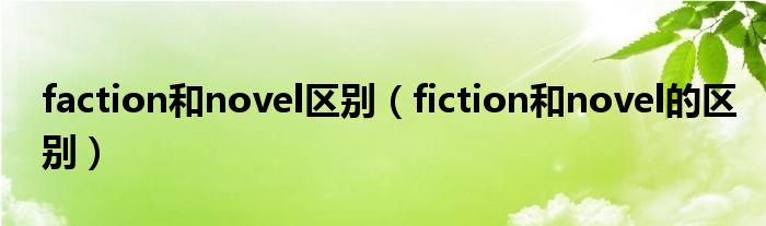 faction和novel区别（fiction和novel的区别）