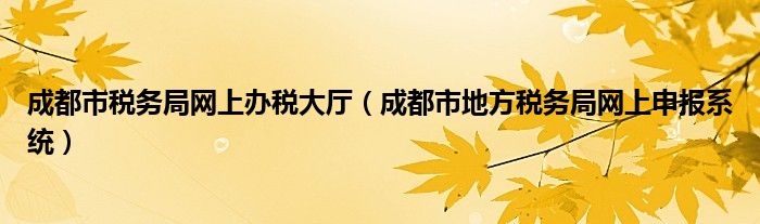 成都市税务局网上办税大厅（成都市地方税务局网上申报系统）