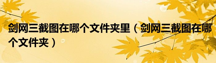 剑网三截图在哪个文件夹里（剑网三截图在哪个文件夹）