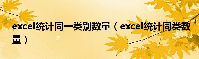 excel统计同一类别数量（excel统计同类数量）