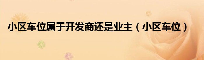 小区车位属于开发商还是业主（小区车位）