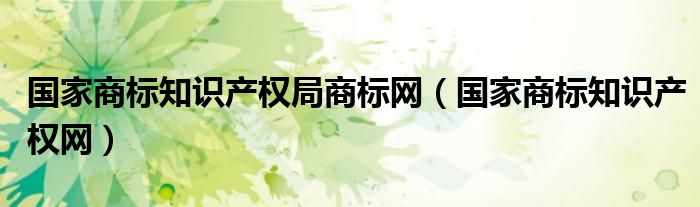 国家商标知识产权局商标网（国家商标知识产权网）