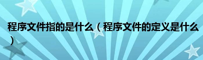 程序文件指的是什么（程序文件的定义是什么）