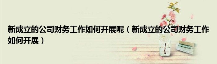 新成立的公司财务工作如何开展呢（新成立的公司财务工作如何开展）
