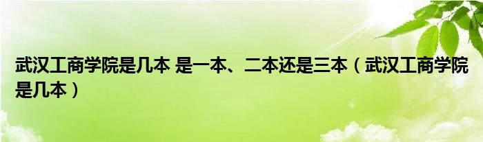 武汉工商学院是几本 是一本、二本还是三本（武汉工商学院是几本）