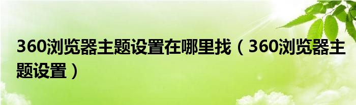 360浏览器主题设置在哪里找（360浏览器主题设置）