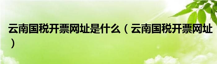 云南国税开票网址是什么（云南国税开票网址）