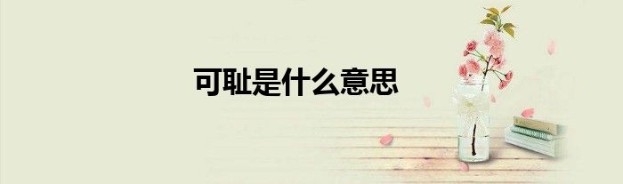 可耻是什么意思