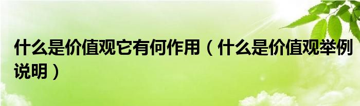 什么是价值观它有何作用（什么是价值观举例说明）