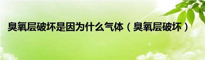 臭氧层破坏是因为什么气体（臭氧层破坏）