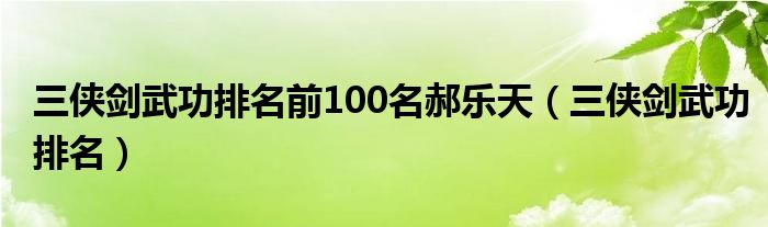 三侠剑武功排名前100名郝乐天（三侠剑武功排名）