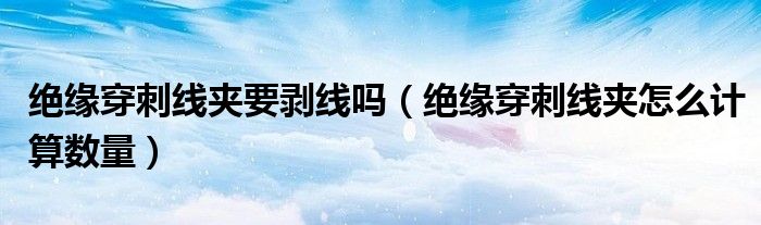 绝缘穿刺线夹要剥线吗（绝缘穿刺线夹怎么计算数量）