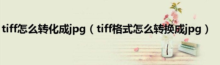 tiff怎么转化成jpg（tiff格式怎么转换成jpg）